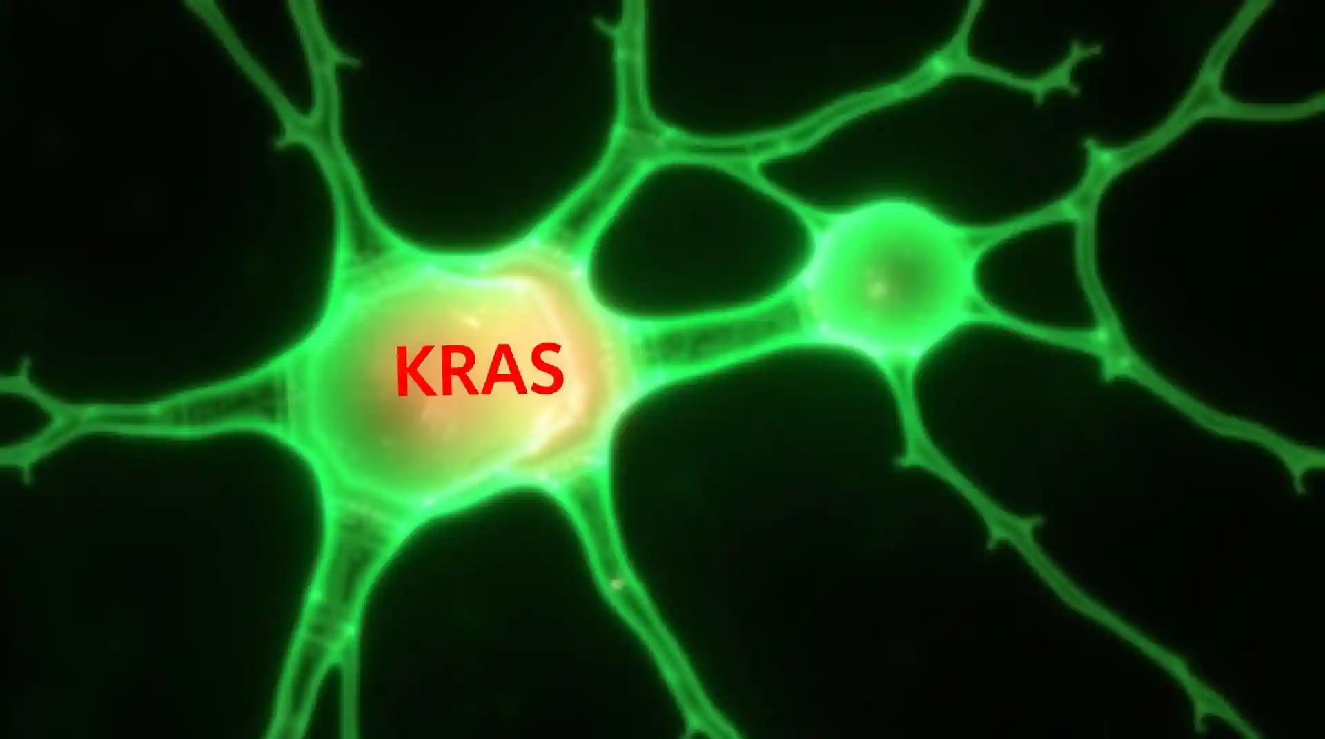 Cell Signaling Technology: Can We Truly Control KRAS?